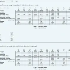 Aktualne stawki za 1 kWh z fotowoltaiki: Ile płaci Tauron prosumentom?