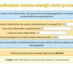 Ile zapłacisz za prąd? Prosty kalkulator kosztów energii